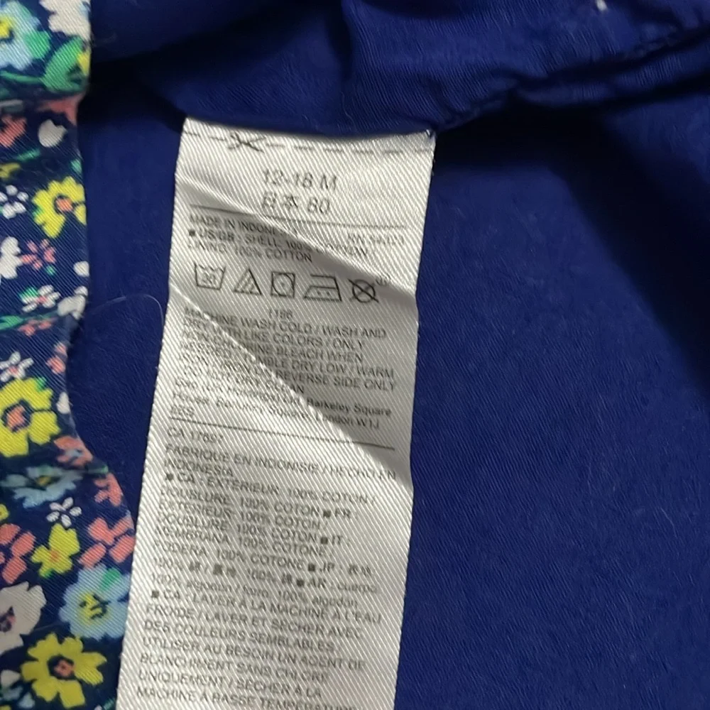 Baby GAP Blue floral print sundress